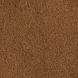 New Vicuna