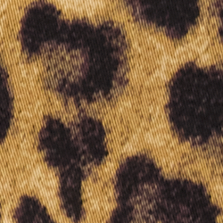 Leopardo