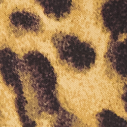 Leopardo