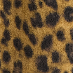 Leopardo