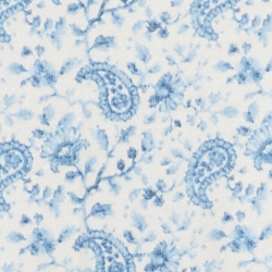 Blue Paisley