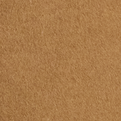 New Vicuna