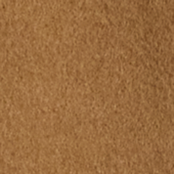 New Vicuna