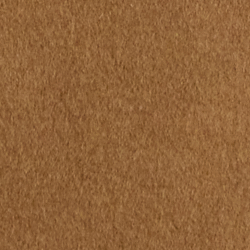 New Vicuna