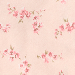 Blush Floral