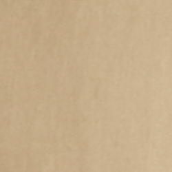 Birch Tan