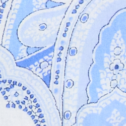 Blue Paisley