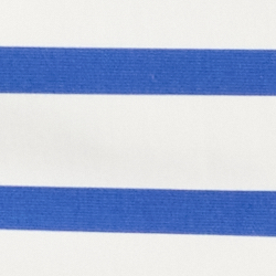 Blue/White
