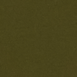 Dark Olive