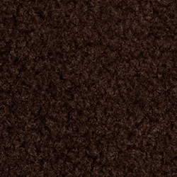 Circuit Brown