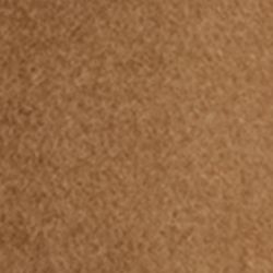 New vicuna