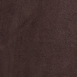 Circuit Brown