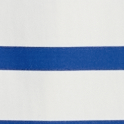 Blue/White