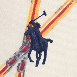 Traveller Ski Print