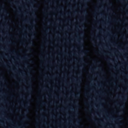 Cruise Navy