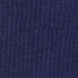 Spring Navy