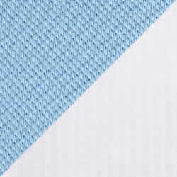 Carolina Blue