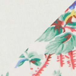 Nevis Floral