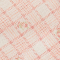 Écossais bouton de rose