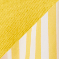 Racing Yellow