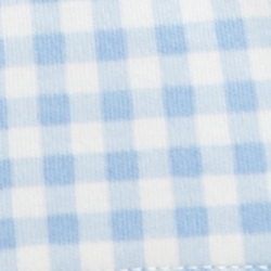 Blue Baby Gingham
