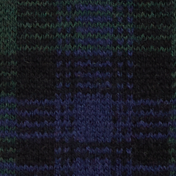 Marine multi