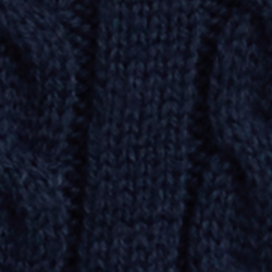 Cruise Navy