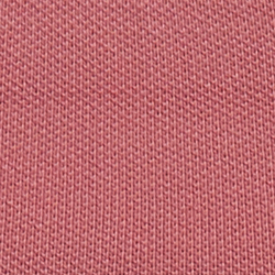 Canvas Pink