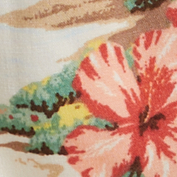 Arco-&iacute;ris tropical