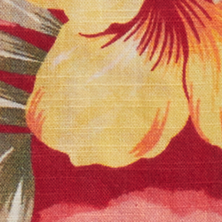 Hibiscus Paradise