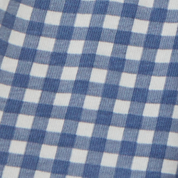 Blue Gingham