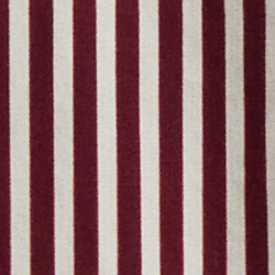 Bear Stripe
