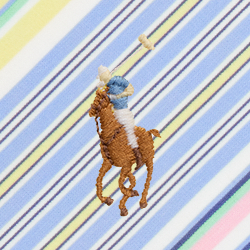 Multi Stripe
