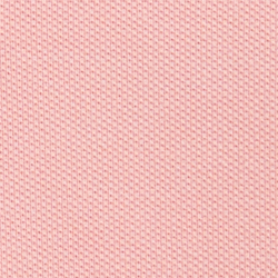 Adirondack Rose