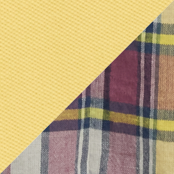 Campus Yellow Multi