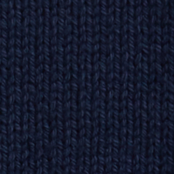 Cruise Navy