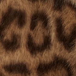 Leopard Print
