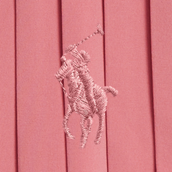 Rose du d&eacute;sert