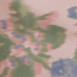 Cloud Pink