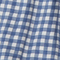 Blue Gingham