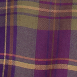240 Purple Green Multi Pl