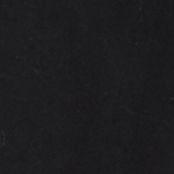 Polo Black