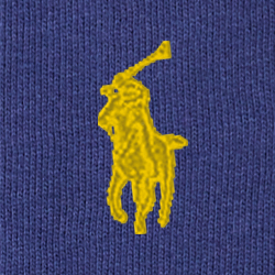 Polo Pony Fleece Hoodie and Trouser Set