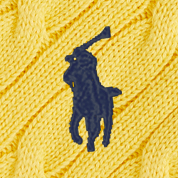 Collegiate Yellow