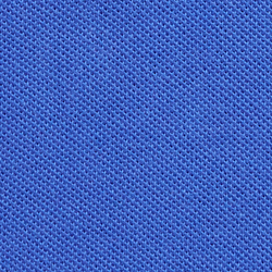 Bear Travel Blue