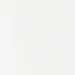 Bear Paper White
