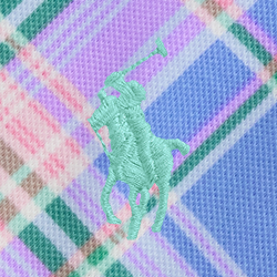 Multi Madras Print