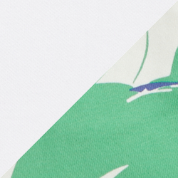 Green/Sails Print