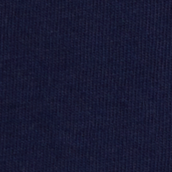 Bear Newport Navy