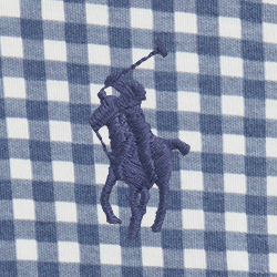 Blue Gingham